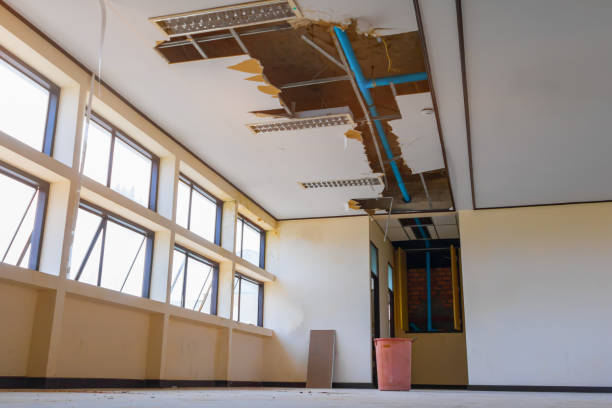 Best Flood damage cleanup  in Yorkshire, VA