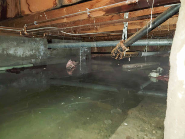 Best 24-hour water damage restoration  in Yorkshire, VA