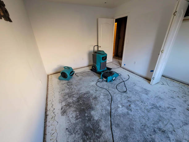 Professional Water damage restoration in VA