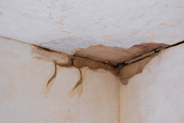Best Ceiling water damage repair  in Yorkshire, VA
