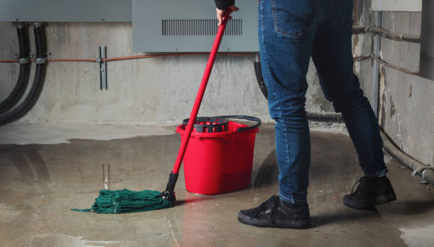 Best Sewage cleanup and water damage restoration  in Yorkshire, VA