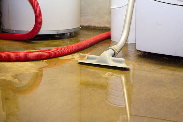 Best Water damage contractors near me  in Yorkshire, VA