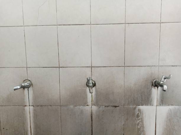 Best Local water damage restoration  in Yorkshire, VA