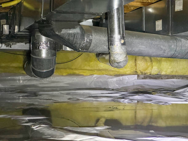 Best Mold removal after water damage  in Yorkshire, VA