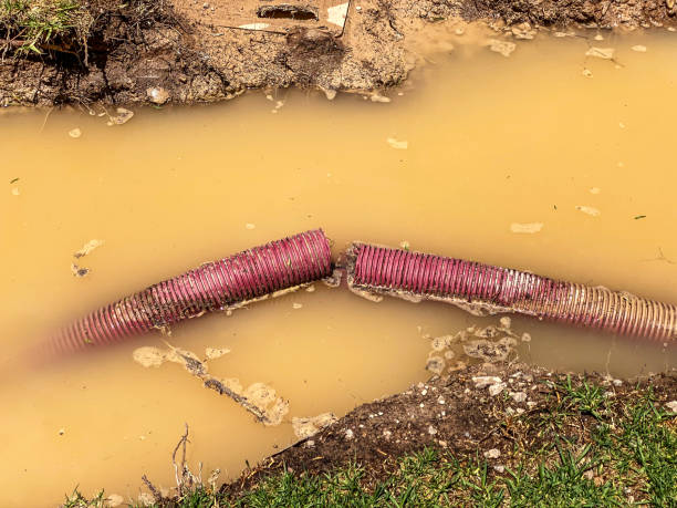 Best Professional water damage repair  in Yorkshire, VA