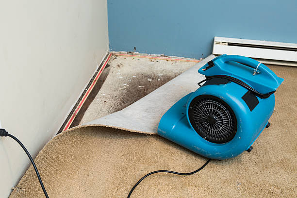Best Flood damage cleanup  in Yorkshire, VA